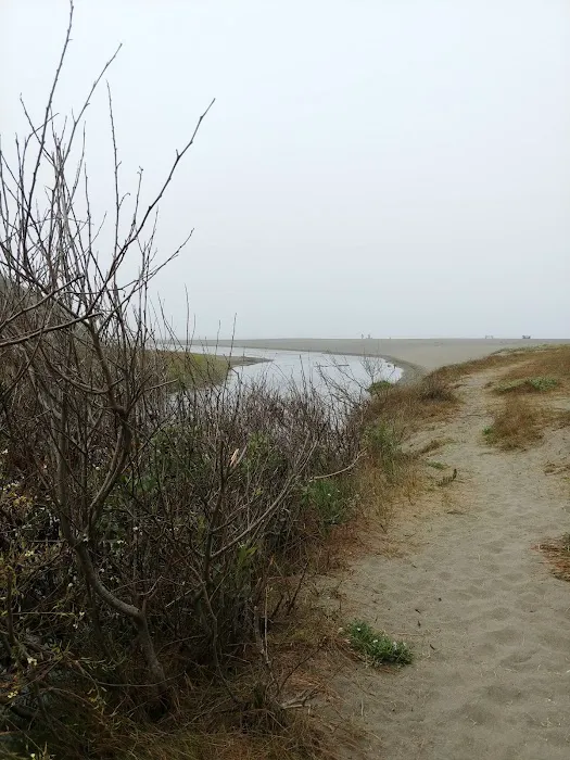 Westport Beach RV Park and Campground 4