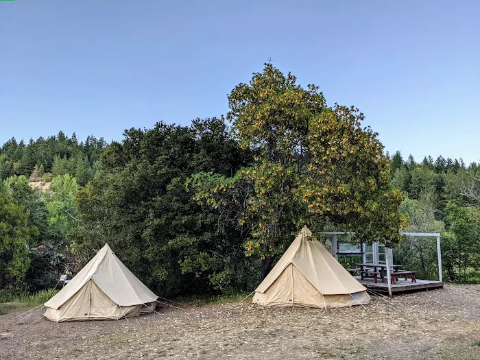 Mendocino Magic 7