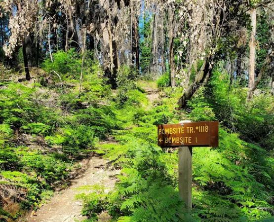 Japanese Bombing Site Trailhead (recgovnpsdata)