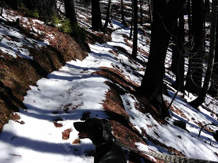 Japanese Bombing Site Trailhead (recgovnpsdata) 2