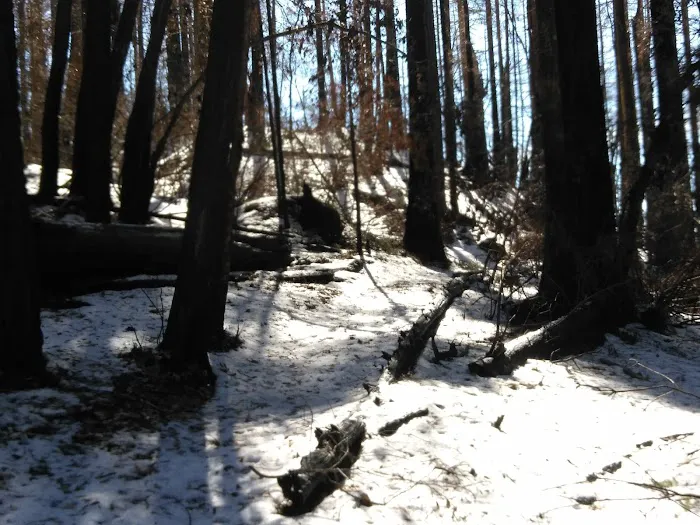 Japanese Bombing Site Trailhead (recgovnpsdata) 7