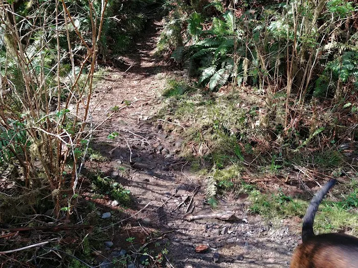 Ludlum Campground 3