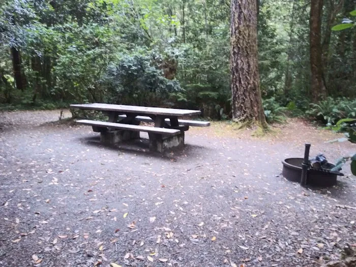 Ludlum Campground 1