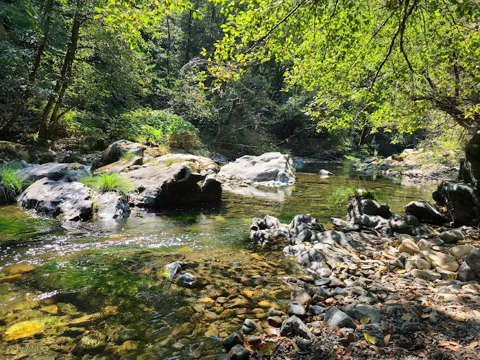 Ludlum Campground 6