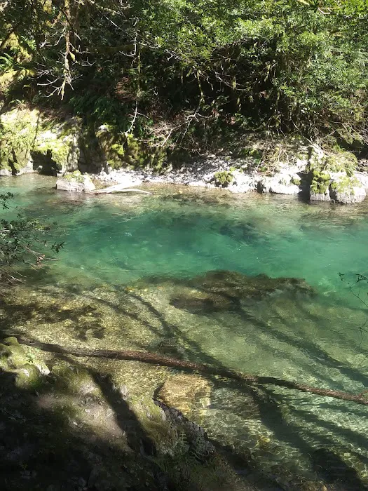 Ludlum Campground 8
