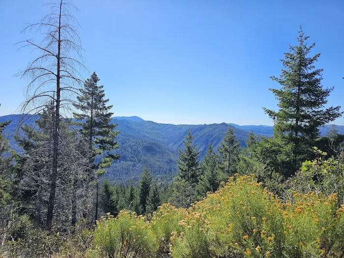 Zred Mountain Prairie Dispersed Camp-Not Enabled 0