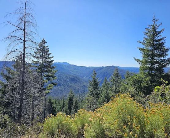 Zred Mountain Prairie Dispersed Camp-Not Enabled