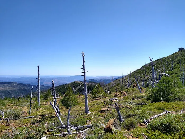 Snow Camp Lookout 5