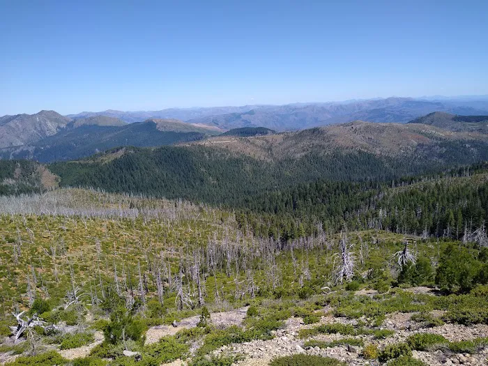 Snow Camp Lookout 1