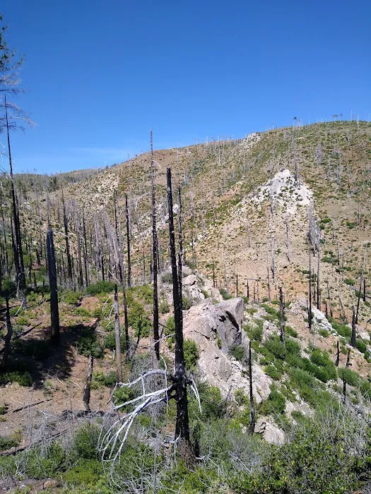 Snow Camp Lookout 9