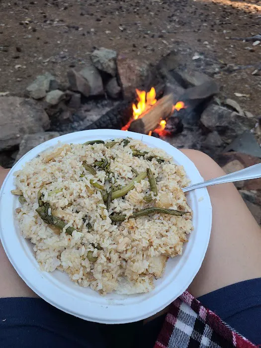 Elko Dispersed Camping 2