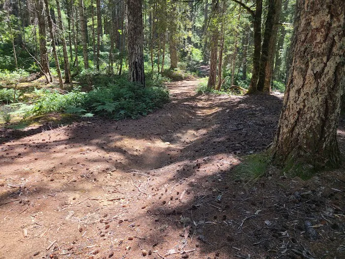 Elko Dispersed Camping 5