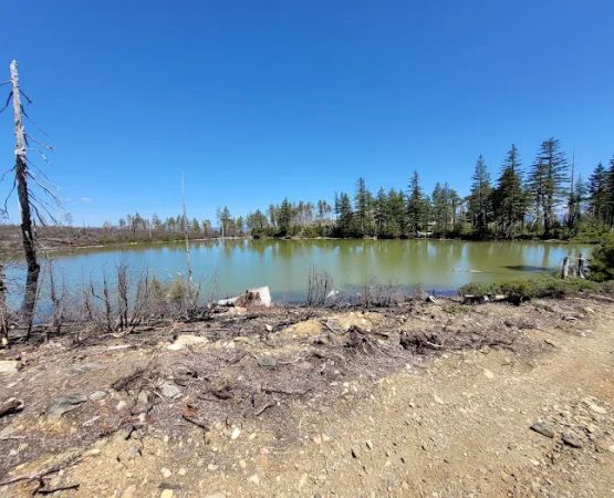 Game Lake Campground