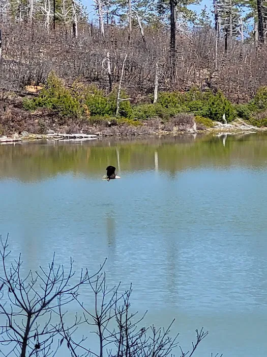 Game Lake Campground 2