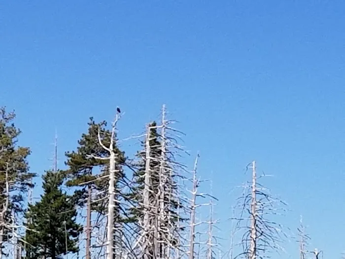 Game Lake Campground 6