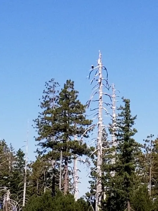 Game Lake Campground 7