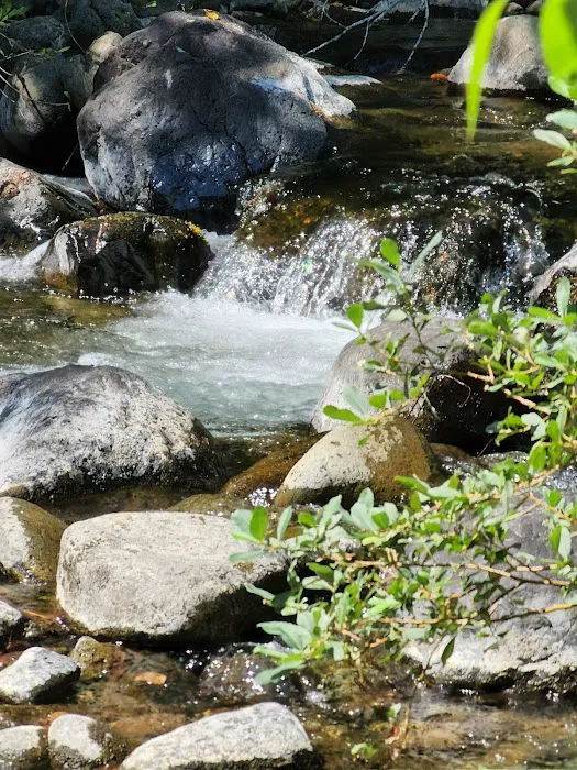 Shelly Creek Campground 0