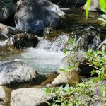 Shelly Creek Campground