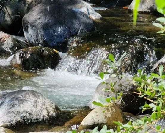 Shelly Creek Campground