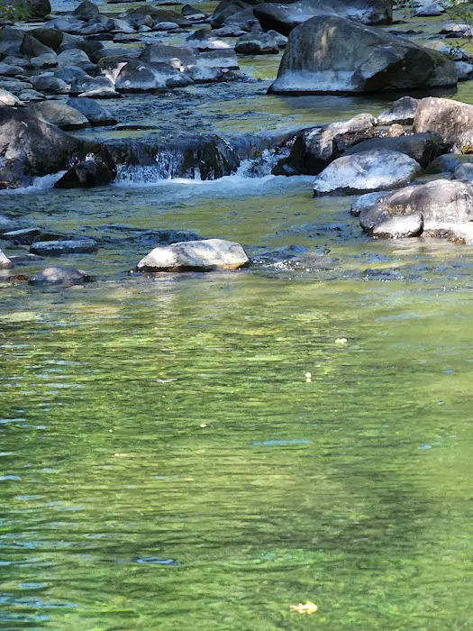 Shelly Creek Campground 4