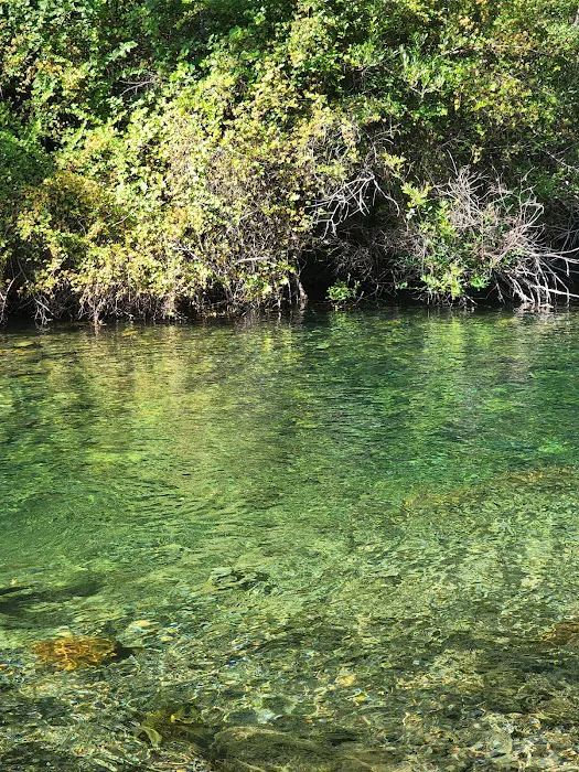 Shelly Creek Campground 8