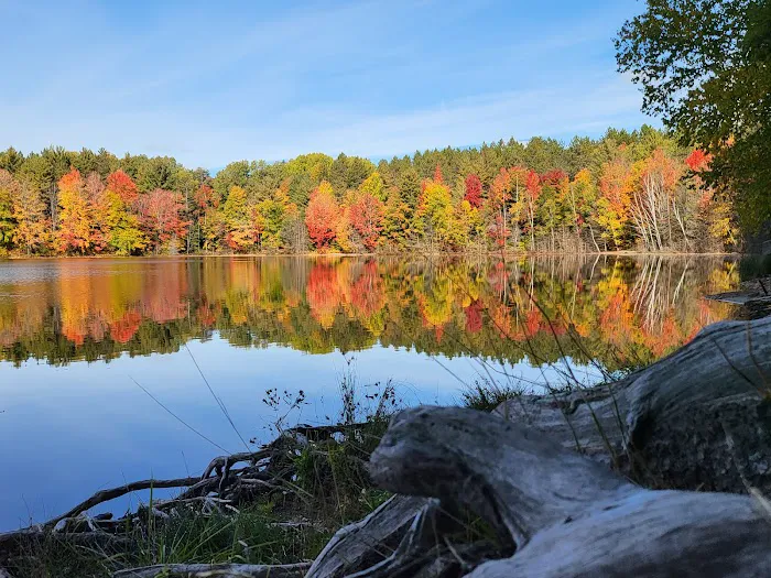 Weber Lake State Forest Campground 1