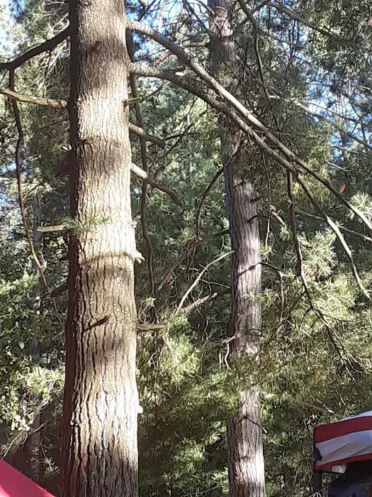 Weber Lake State Forest Campground 9