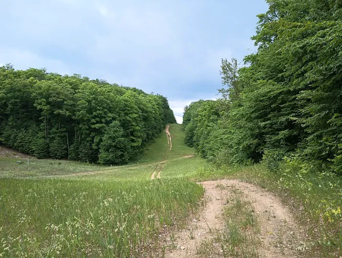 Smerczak Property 0