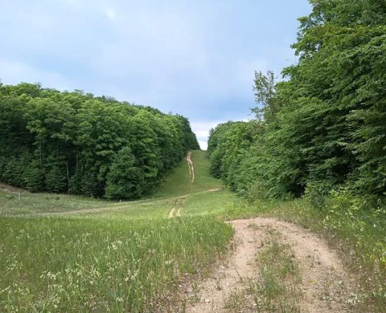 Smerczak Property