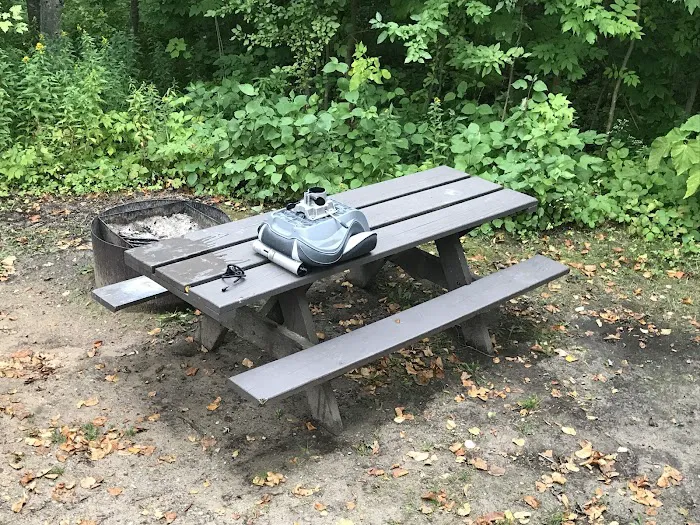 Maple Bay State Forest Campground 6