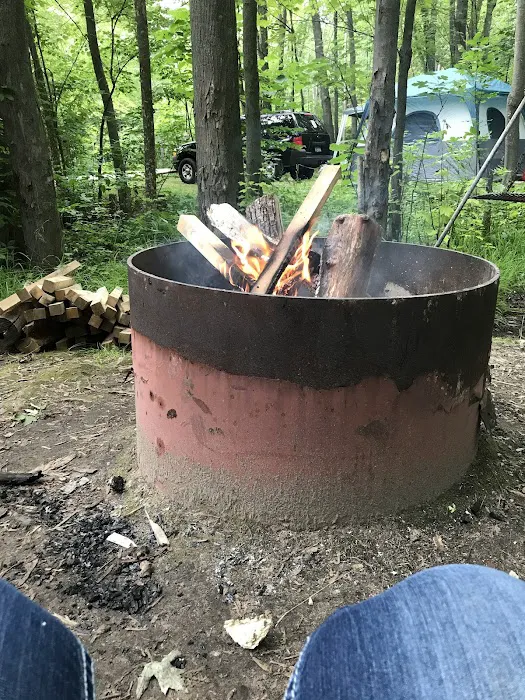 Maple Bay State Forest Campground 4