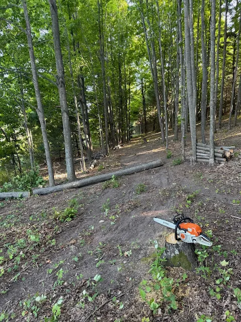 Hidden Valley Campground 1