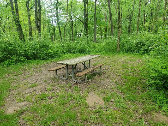 Sugar Bottom Campground 9