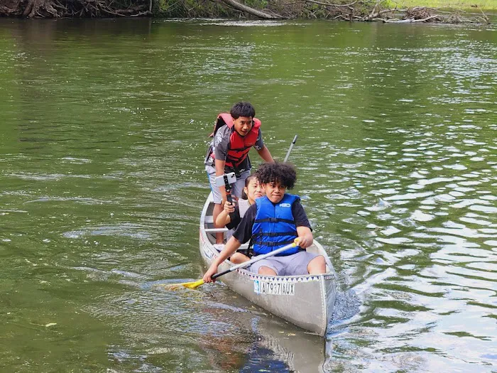 Cedar Springs Camp 7