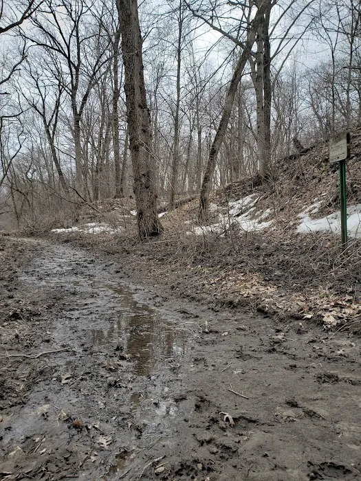Cedar Bridge Park 1