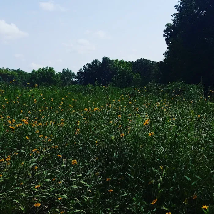 Cedar River Sportsman's Park 6