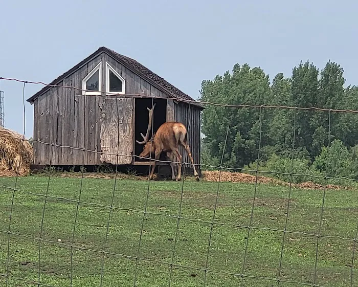 River Ranch Camping 1