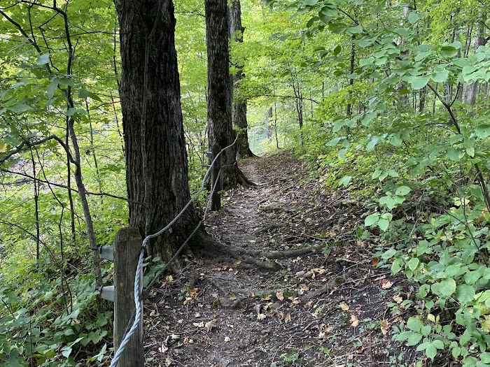 Duttons Cave Campground 0