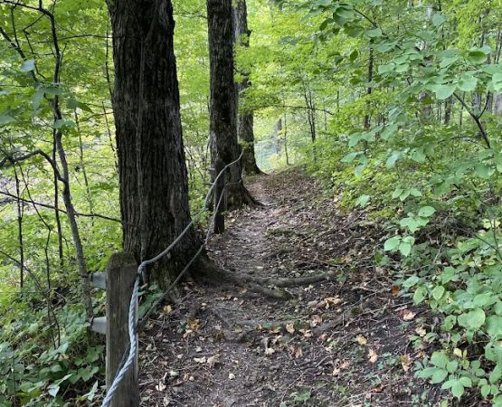 Duttons Cave Campground