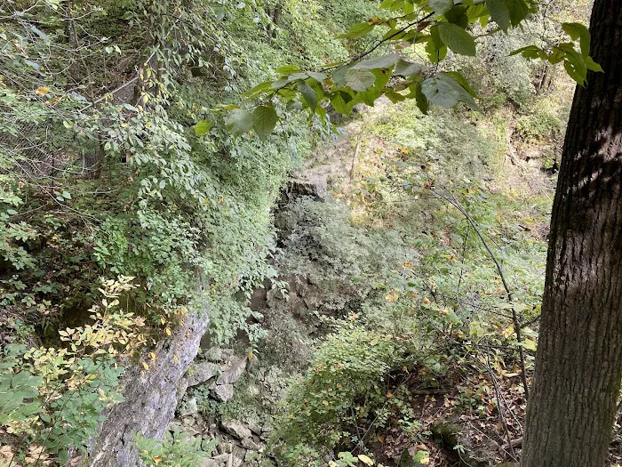 Duttons Cave Campground 2