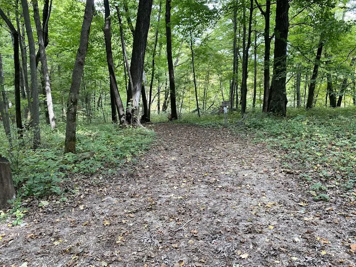 Duttons Cave Campground 4