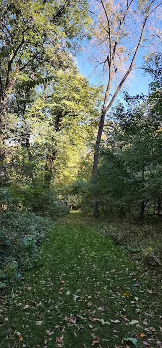 Duttons Cave Campground 7