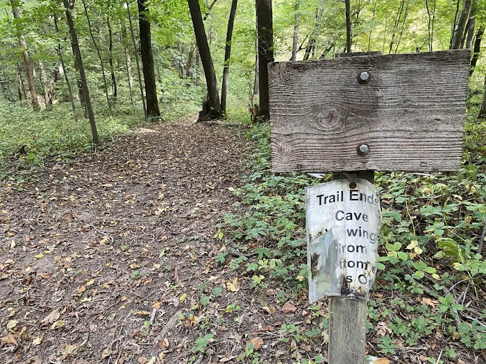 Duttons Cave Campground 8