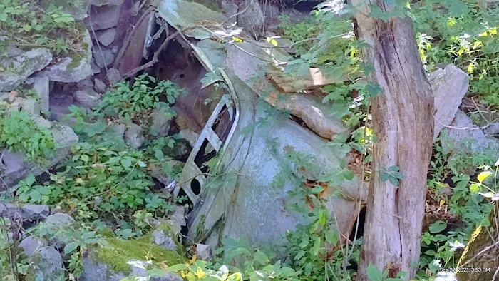 Klocks Island Park Campground 2