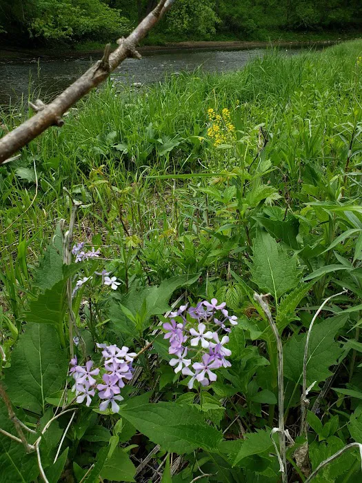 Klocks Island Park Campground 6