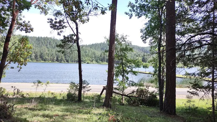 Osprey loop campground at Lake Selmac 5