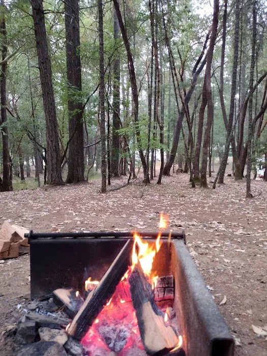 Osprey loop campground at Lake Selmac 6