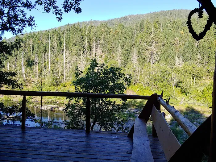 Cedar Bloom Farm 9