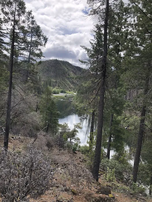 Briggs Creek Campground 2