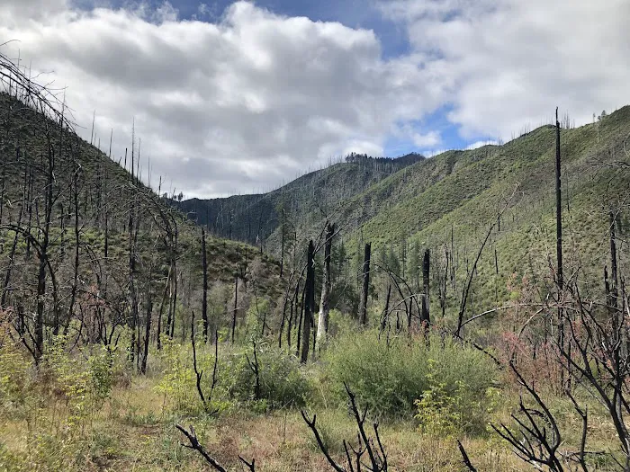 Briggs Creek Campground 1